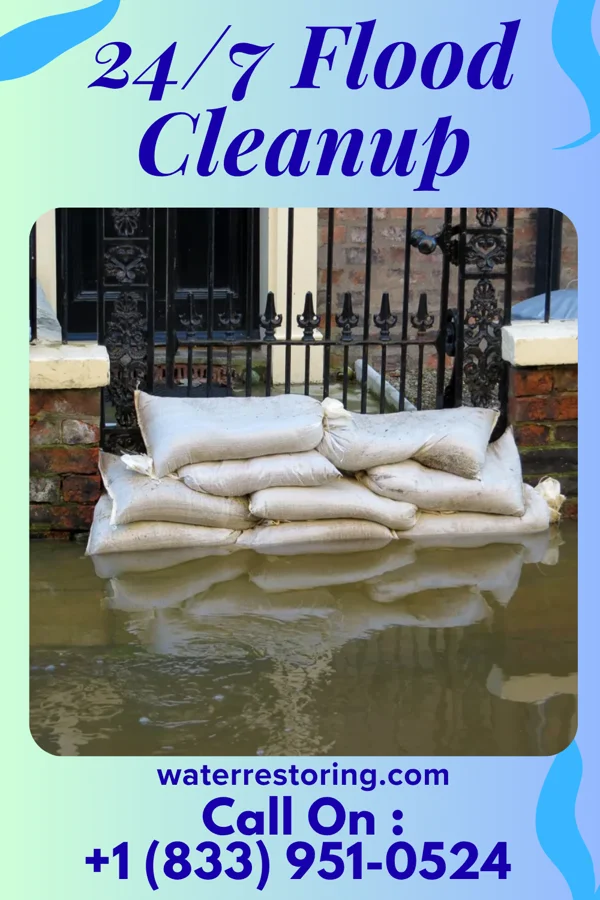 24/7 Flood Cleanup in Hallock, MN