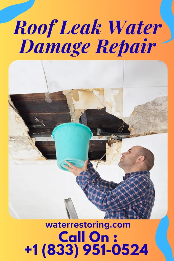 Roof Leak Water Damage Repair in Hallock, MN