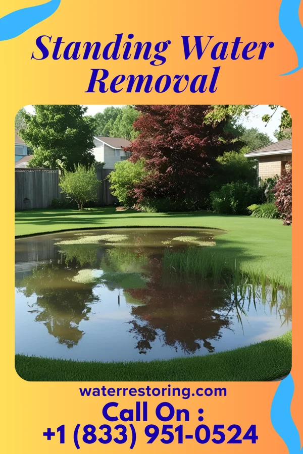 Standing Water Removal in Hallock, MN